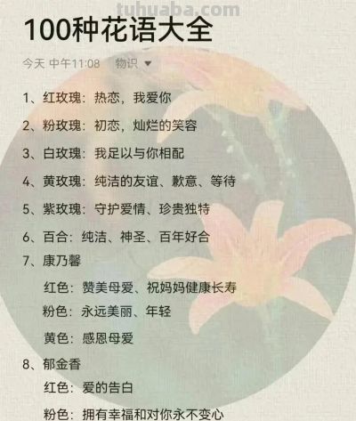 100种花语大全 ！ - 今日头条