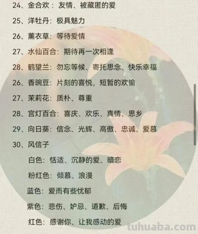 100种花语大全 ！ - 图画吧TUHUABA