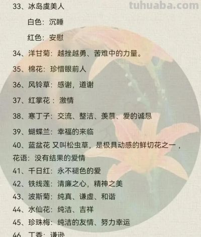 100种花语大全 ！ - 图画吧TUHUABA