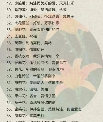 100种花语大全 ！ - 图画吧TUHUABA