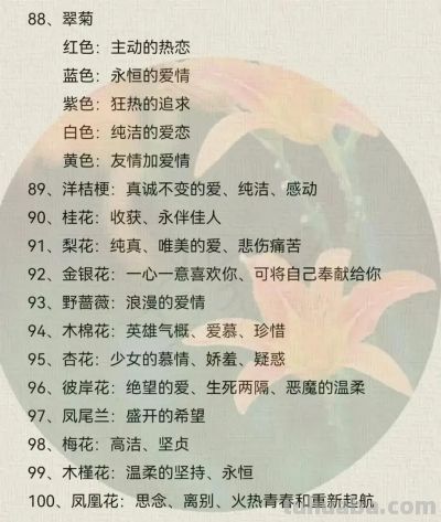 100种花语大全 ！ - 图画吧TUHUABA
