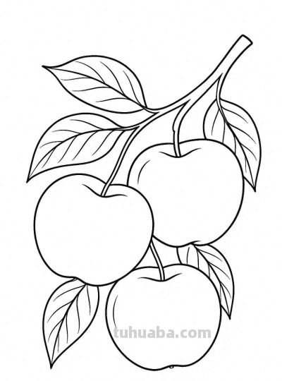 水果的简笔画线稿图 - 今日头条