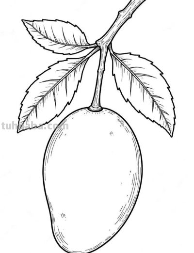 水果的简笔画线稿图 - 图画吧TUHUABA