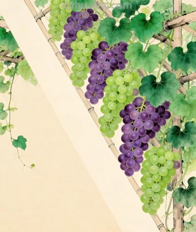 治愈系蔬果壁纸 - 图画吧TUHUABA