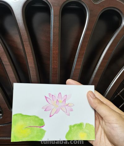 25 睡莲（绘画 水彩 果花甘06） - 图画吧TUHUABA