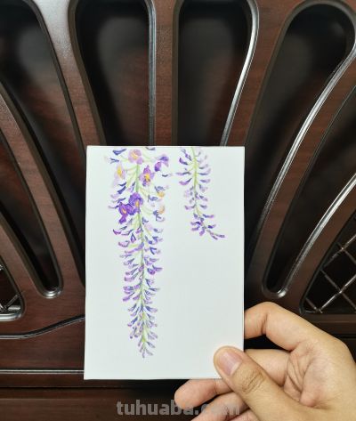 26 紫藤萝（绘画 水彩 果花甘06） - 图画吧TUHUABA