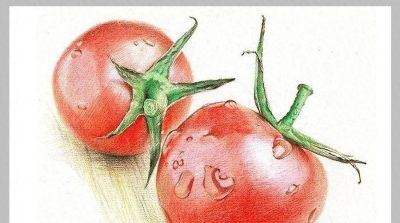 值得学习的20张彩铅作品，收藏起来慢慢画~ - 今日头条