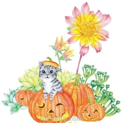 值得学习的20张彩铅作品，收藏起来慢慢画~ - 图画吧TUHUABA