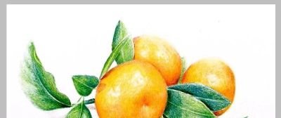 值得学习的20张彩铅作品，收藏起来慢慢画~ - 图画吧TUHUABA