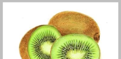 值得学习的20张彩铅作品，收藏起来慢慢画~ - 图画吧TUHUABA