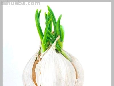 值得学习的20张彩铅作品，收藏起来慢慢画~ - 图画吧TUHUABA