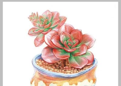 值得学习的20张彩铅作品，收藏起来慢慢画~ - 图画吧TUHUABA