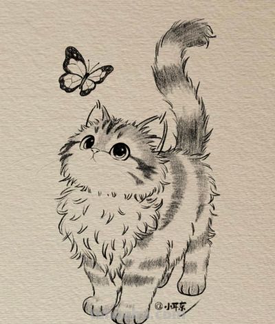 可爱的素描小猫图分享丨小耳东 - 图画吧TUHUABA