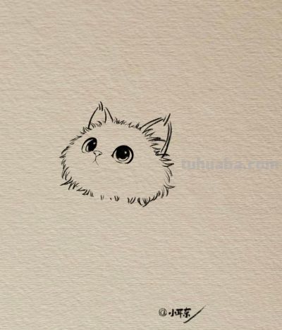 可爱的素描小猫图分享丨小耳东 - 图画吧TUHUABA