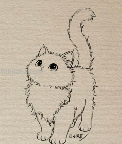 可爱的素描小猫图分享丨小耳东 - 图画吧TUHUABA
