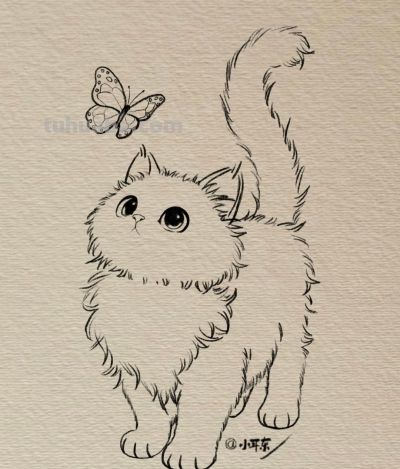 可爱的素描小猫图分享丨小耳东 - 图画吧TUHUABA