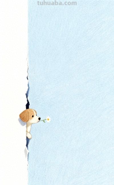 小动物治愈插画 - 今日头条