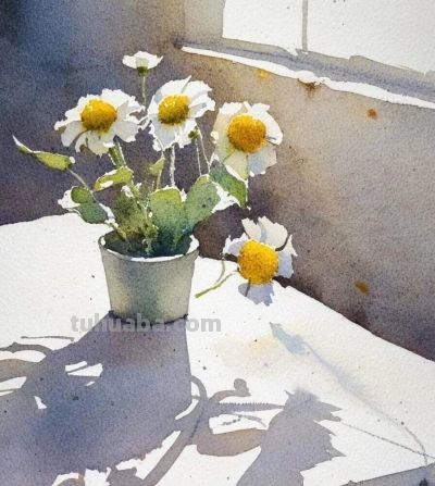 水彩小雏菊浪漫绽放 - 图画吧TUHUABA