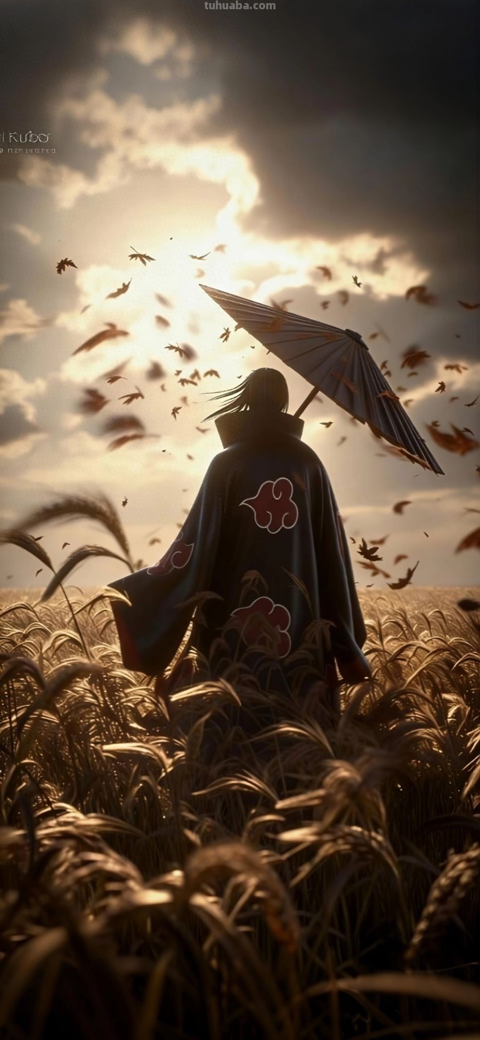 动漫壁纸251231 - 今日头条