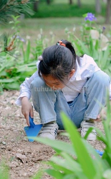 家庭的种植实验：一场充满惊喜与失望的成长之旅 - 图画吧TUHUABA