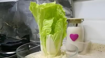 适合在家种的6种蔬菜,再生能力强,吃完留下根,一年不缺蔬菜吃 - 今日头条 适合在家种的6种蔬菜,再生能力强,吃完留下根,一年不缺蔬菜吃 - 图画吧TUHUABA