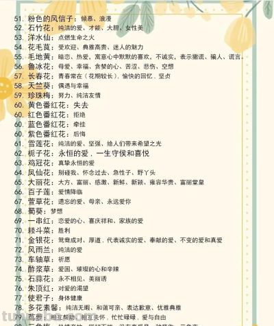 花语一览：不同的花有不同的寓意，再送花可别送错喽！涨知识了！ - 图画吧TUHUABA