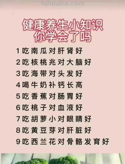 花语一览：不同的花有不同的寓意，再送花可别送错喽！涨知识了！ - 图画吧TUHUABA