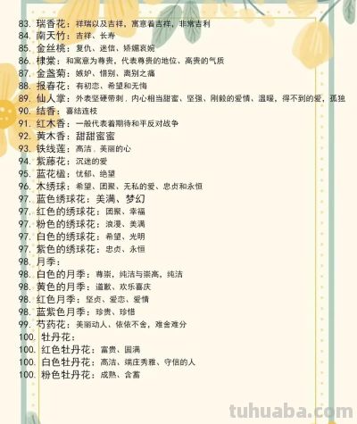 花语一览：不同的花有不同的寓意，再送花可别送错喽！涨知识了！ - 图画吧TUHUABA