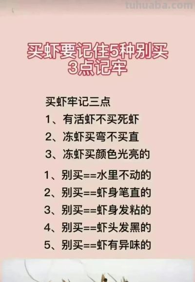 花语一览：不同的花有不同的寓意，再送花可别送错喽！涨知识了！ - 图画吧TUHUABA