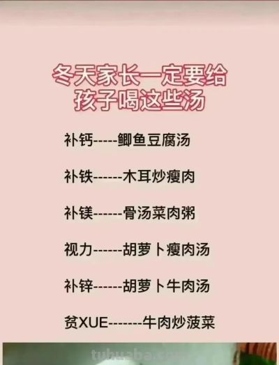 花语一览：不同的花有不同的寓意，再送花可别送错喽！涨知识了！ - 图画吧TUHUABA