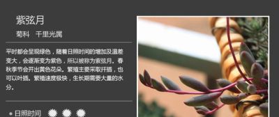 史上最全多肉植物图鉴，没有之一！强烈建议收藏~ - 图画吧TUHUABA