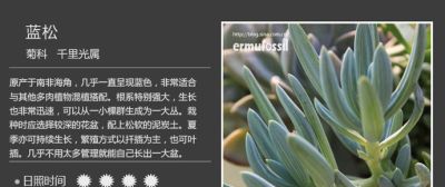 史上最全多肉植物图鉴，没有之一！强烈建议收藏~ - 图画吧TUHUABA