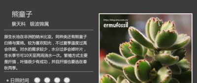 史上最全多肉植物图鉴，没有之一！强烈建议收藏~ - 图画吧TUHUABA