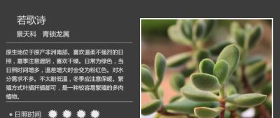 史上最全多肉植物图鉴，没有之一！强烈建议收藏~ - 图画吧TUHUABA