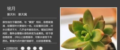 史上最全多肉植物图鉴，没有之一！强烈建议收藏~ - 图画吧TUHUABA