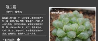 史上最全多肉植物图鉴，没有之一！强烈建议收藏~ - 图画吧TUHUABA