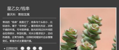 史上最全多肉植物图鉴，没有之一！强烈建议收藏~ - 图画吧TUHUABA