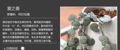 史上最全多肉植物图鉴，没有之一！强烈建议收藏~ - 图画吧TUHUABA
