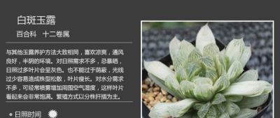 史上最全多肉植物图鉴，没有之一！强烈建议收藏~ - 图画吧TUHUABA