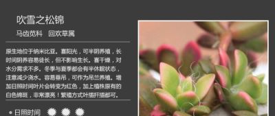 史上最全多肉植物图鉴，没有之一！强烈建议收藏~ - 图画吧TUHUABA