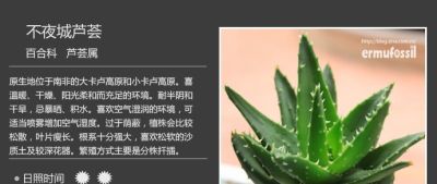 史上最全多肉植物图鉴，没有之一！强烈建议收藏~ - 图画吧TUHUABA