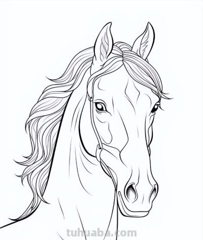 马年画马！马的简笔画线稿图 - 图画吧TUHUABA