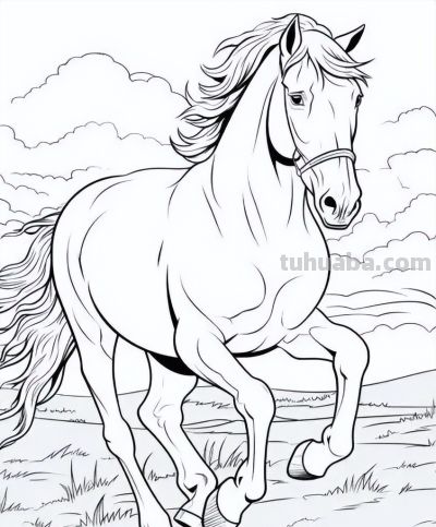 马年画马！马的简笔画线稿图 - 图画吧TUHUABA