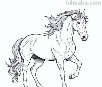 马年画马！马的简笔画线稿图 - 图画吧TUHUABA