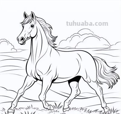 马年画马！马的简笔画线稿图 - 图画吧TUHUABA