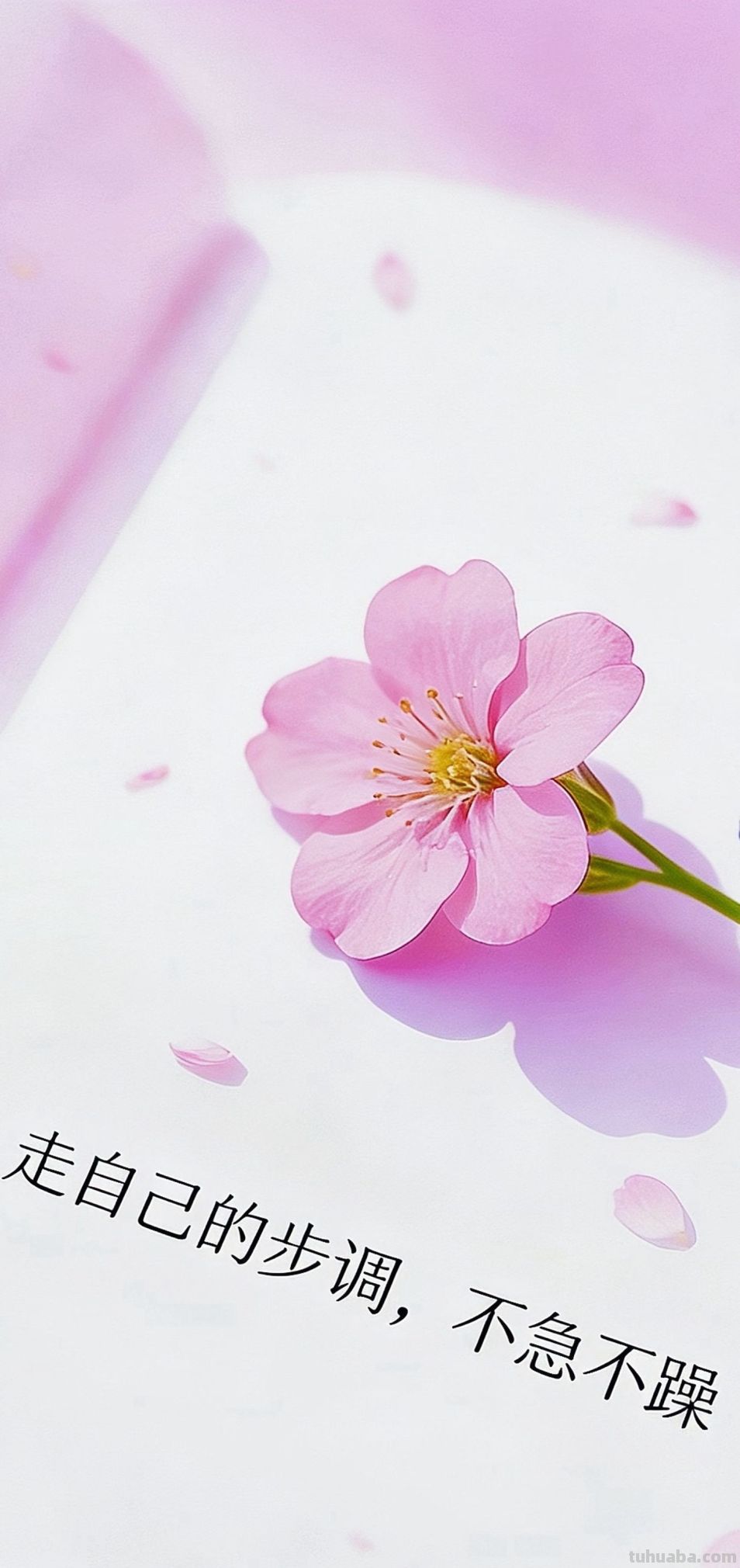 8K壁纸：水彩风 - 图画吧TUHUABA