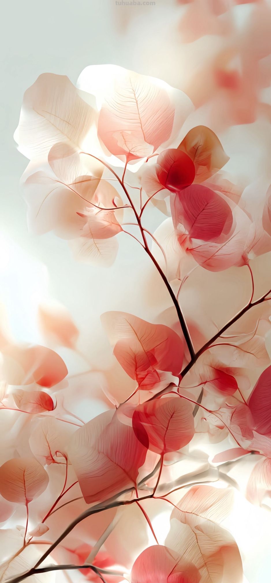 8K壁纸：水彩风 - 图画吧TUHUABA