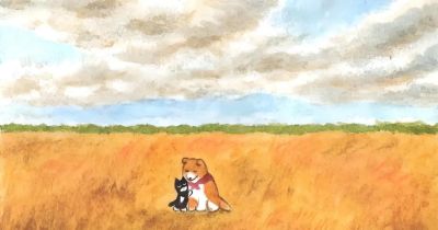 插画里的自然世界(插画欣赏) - 图画吧TUHUABA