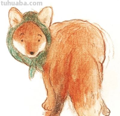 插画里的自然世界(插画欣赏) - 图画吧TUHUABA