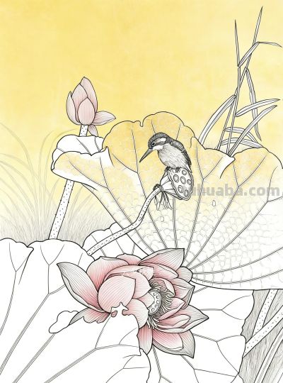 荷花素描：以线塑形，勾勒荷塘的清雅意趣 - 图画吧TUHUABA